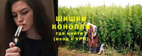 mdpv Новодвинск