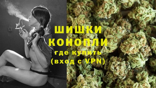 mdpv Новодвинск