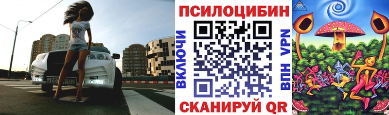 дарнет шоп Дербент omg зеркало нарко площадка телеграм Галлюциногенные грибы ЛСД